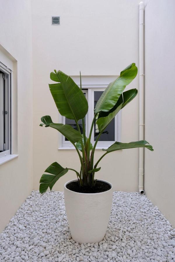 Urban Oasis La Palma Apartment ซานตาครูซเดลาปัลมา ภายนอก รูปภาพ
